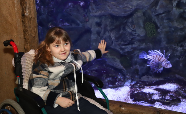 Критинина Ксения